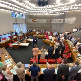 Neuer Gemeinderat in Pforzheim kommt erstmals zusammen
