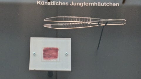 Ein künstliches Hymen von VirginiaCare wird im Deutschen Hygiene-Museum in Dresden ausgestellt.