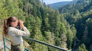 Als Rangerin ist Nadine Berger im Nationalpark Schwarzwald unterwegs und klärt Besucherinnen und Besucher über die Natur und ihre Regeln auf. Sie sieht sich als "Polizei des Waldes".
