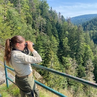 Als Rangerin ist Nadine Berger im Nationalpark Schwarzwald unterwegs und klärt Besucherinnen und Besucher über die Natur und ihre Regeln auf. Sie sieht sich als "Polizei des Waldes".