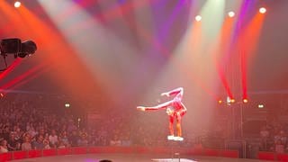Der Schlangenmensch im Zirkus Knie scheint aus Gummi zu sein. In der beleuchteten Zirkusmanege des Zirkus Charles Knie in Karlsruhe verbiegt er sich wie ein U.