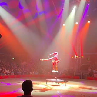 Der Schlangenmensch im Zirkus Knie scheint aus Gummi zu sein. In der beleuchteten Zirkusmanege des Zirkus Charles Knie in Karlsruhe verbiegt er sich wie ein U.