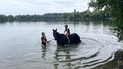 Der Baggersee in Grötzingen bei Karlsruhe. Die Wasserqualität wird hier regelmäßig gemessen damit Hunde, Pferde und Menschen entspannt baden können.