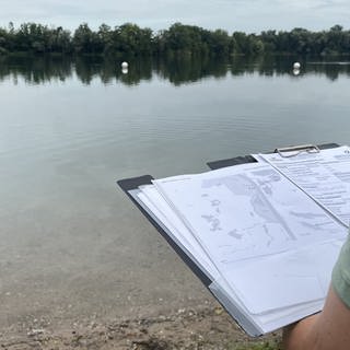 Der Grötzinger Baggersee wird gecheckt. 