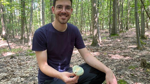 Luca Dudenhöffer sammelt leidenschaftlich gern Pilze im Wald bei Karlsruhe. 