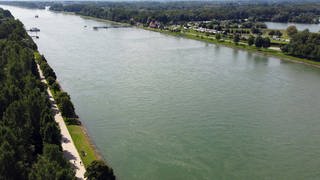 Der Rhein bei Rastatt. Aus dem Wasser wurde am Mittwoch ein Auto geborgen. In ihm befanden sich Knochenteile.