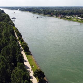 Der Rhein bei Rastatt. Aus dem Wasser wurde am Mittwoch ein Auto geborgen. In ihm befanden sich Knochenteile.