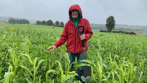 Landwirtschaftsberater Rolf Kern aus Bruchsal auf einem Versuchsfeld in Gondelsheim. Hier werden aktuell verschiedene, bodenschonende Anbaumethoden getestet, die Erosionen verhindern sollen.