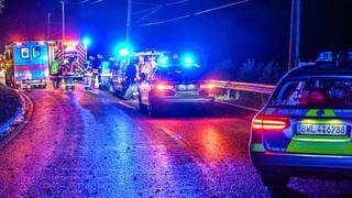 Einsatzwagen von Polizei und Rettungsdiensten stehen auf der Landesstraße L564. 