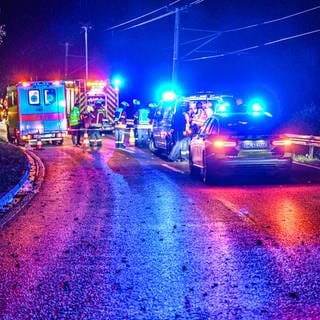 Einsatzwagen von Polizei und Rettungsdiensten stehen auf der Landesstraße L564. 