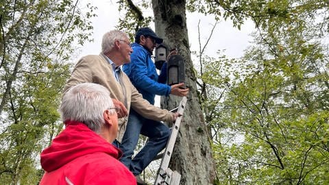 Calw: Fledermauskasten wird aufgehängt von Bürgermeister von Gechingen Helmut Häusler (unten links), Landrat Helmut Riegger (Mitte) und NABU-Vorsitzenden Johannes Enssle