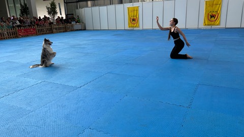 Carmen Winkler und ihre Hündin Reya haben sich beim Dog-Dancing-Wettbewerb in Karlsruhe für die Europameisterschaft im kommenden Jahr qualifiziert