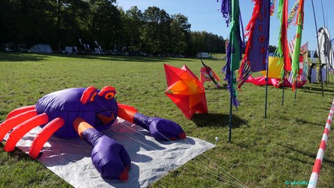 Viele bunte Drachen auf dem Drachenfest an der Schwanner Warte.