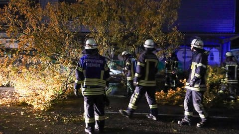 Die Feuerwehr beseitigt einen umgestürzten Baum im Karlsruher Stadtteil Hagsfeld