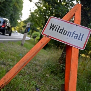 Ein Schild weist auf einen Wildunfall hin.