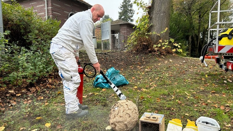 Hornissenfachberater Harald Wiedemann besprüht das abgenommene Hornissennest mit CO2, um die Hornissen zu sedieren.