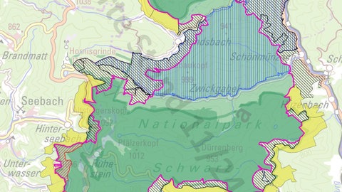 Der Nationalparkrat des Nationalparks Schwarzwald hat den Plänen zur Erweiterung zu gestimmt. 