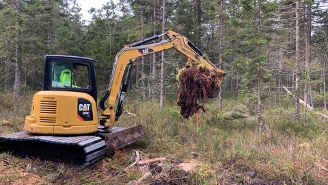 Beim Bau von Sperren kommen spezielle Moorbagger zum Einsatz