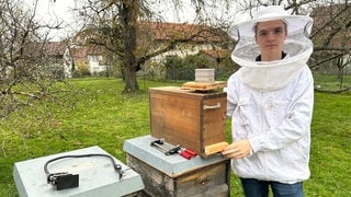 Imker zeigt auf Apparatur am Bienenstock