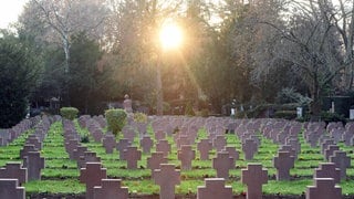 Ein Kriegsgräberfeld auf dem Hauptfriedhof Karlsruhe.