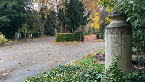 Ein Weg des Hauptfriedhofs Karlsruhe