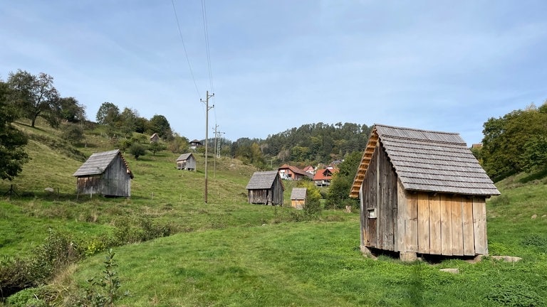 Die Ziegenfreunde Bermersbach haben in dem Ortsteil von Forbach Heuhütten am Ziegenpfad renoviert.