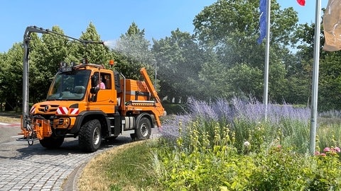 Am Kreisel in Ettlingen rückt der Unimog an: Die Sommerblumen brauchen viel Wasser