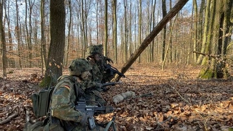 Vor dem Stellungsbau wird das Gelände erkundet