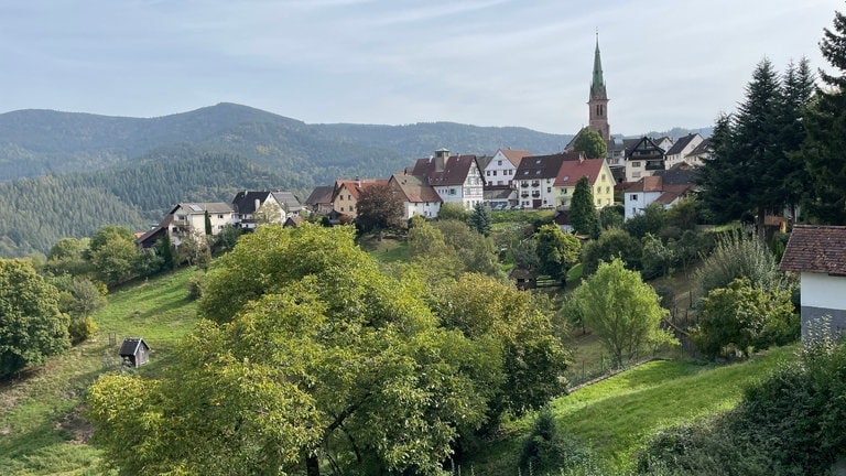 Die Ziegenfreunde Bermersbach haben in dem Ortsteil von Forbach Heuhütten am Ziegenpfad renoviert.