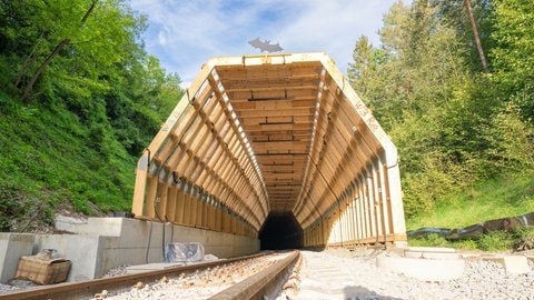 Hermann-Hesse-Bahn im Kreis Calw: Provisorischer Holztunnel Vorbau zum Schutz für Fledermäuse.