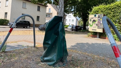 Junge Bäume brauchen besonders viel Wasser: Ein Wassersack schützt sie vor dem Austrocknen