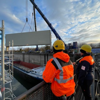 Schleuse Iffezheim: Nach dem Schifffsunfall auf dem Rhein vor einem Jahr wird das neue Schleusentor eingebaut. Damals ist ein Millionenschaden entstanden.