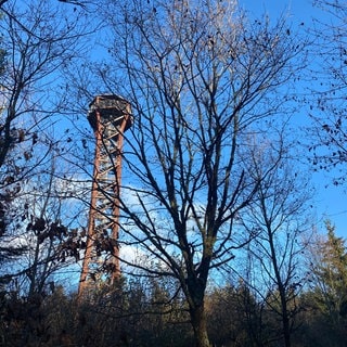 Trauer-Kerzen stehen unter dem Aussichtsturm "Hohe Warte" in Pforzheim