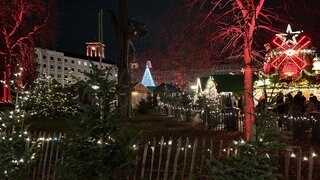 Seit vier Jahren findet die Waldweihnacht am Friedrichsplatz in Kalrsruhe statt.