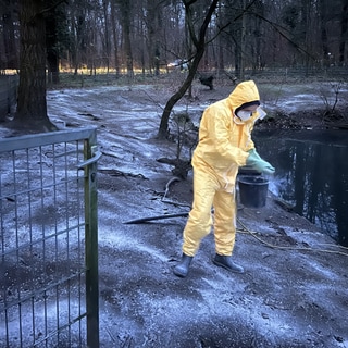 Mitglieder des Vogelschutz- und Zuchtverein Hambrücken müssen die gesamte Anlage desinfizieren, um die Ausbreitung des Virus zu verhindern.