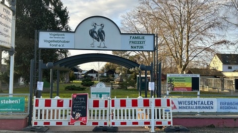 Im Tier- und Vogelpark Forst gibt es zwei weitere Tiere mit Verdacht auf die Vogelgrippe.