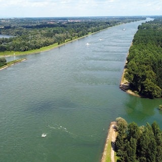 Luftaufnahme vom Rhein bei Rastatt Plittersdorf