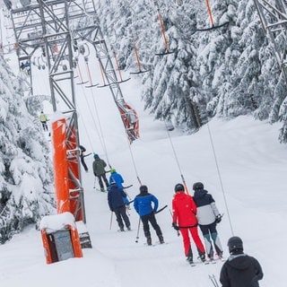 Skilift Seibelseckle im Schwarzwald