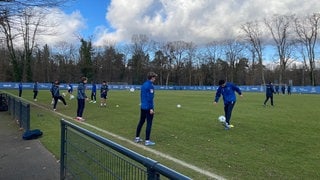 Die Spieler des KSC beim Trainingsauftakt am Freitag im Wildpark.