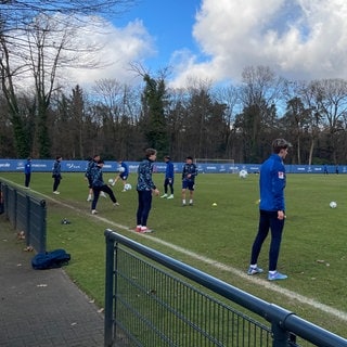 Die Spieler des KSC beim Trainingsauftakt am Freitag im Wildpark.