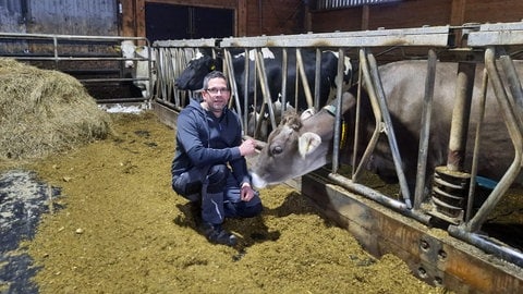 Michbauer Marc Berger aus Bad Liebenzell-Maisenbach steht in seinem Stall und füttert seine Kühe. 