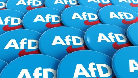 AfD-Pins zum Anstecken