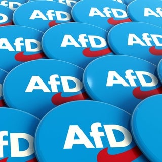 AfD-Pins zum Anstecken