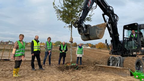 Der erste Baum für die Bundesgartenschau 2023 in Mannheim steht