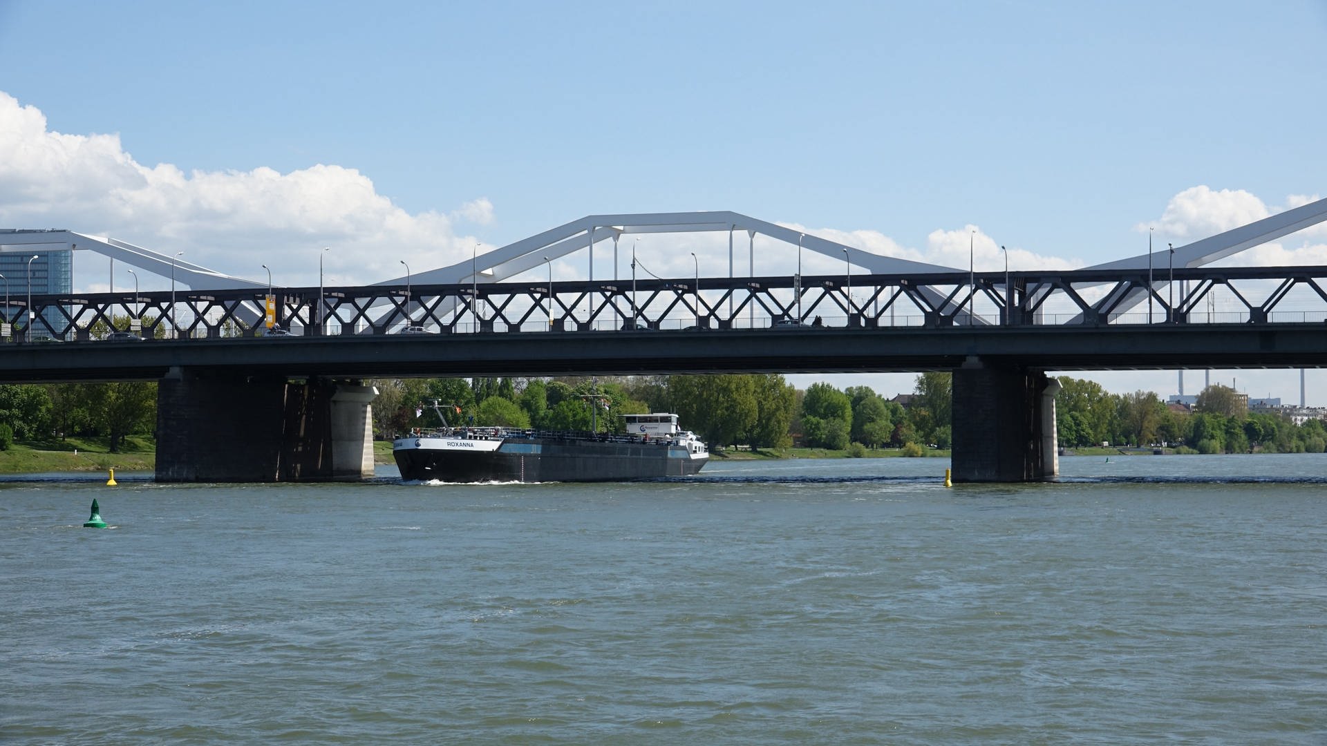Schwimmer im Rhein in Mannheim löst Einsatz aus
