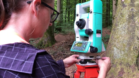 Amerikanische Wissenschaftler untersuchen mit hochmodernen Geräten den Wald bei Buchen