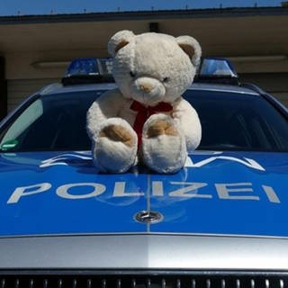 Verlorener Teddybär