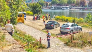 Rettungsaktion am Heidelberger Neckarufer