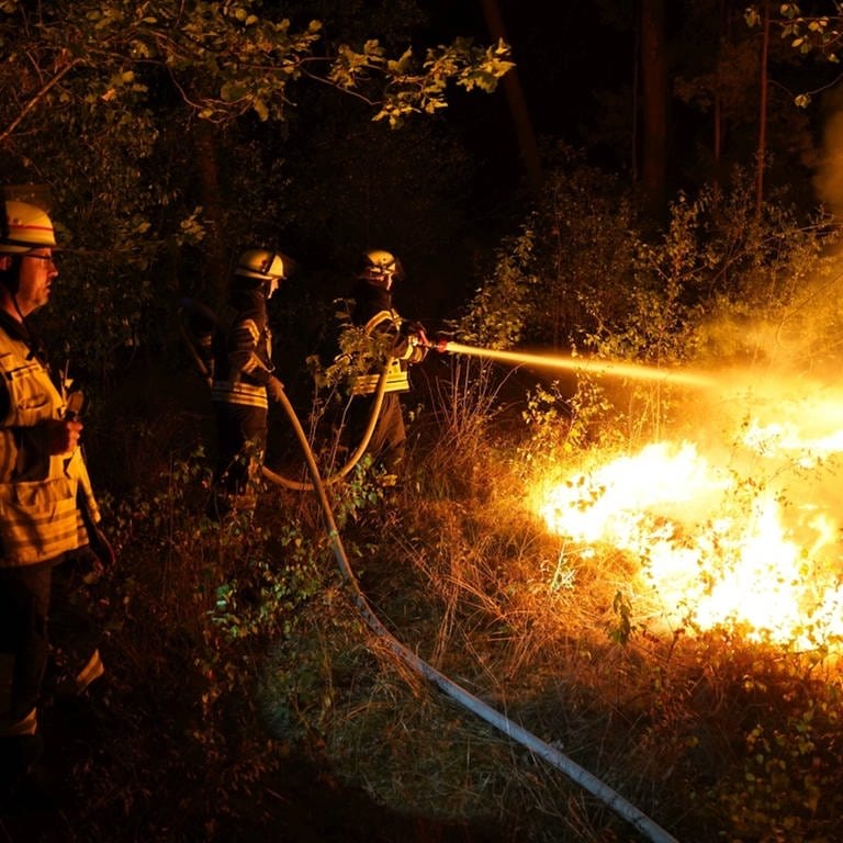 Feuerwehrleute löschen einen Waldbrand.