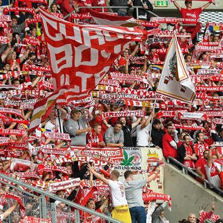 Mainzer Fans in Sinsheim 